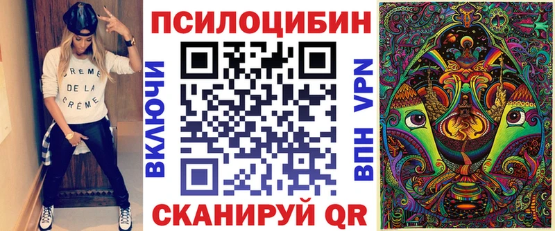 мега зеркало  Фролово  Псилоцибиновые грибы Cubensis  где купить наркоту 